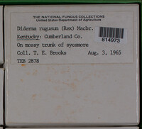 Image Associated With the Occurence